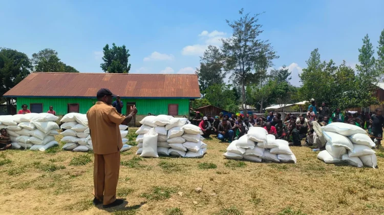 Pemkab Nduga Salurkan bantuan beras bagi masyarakat di 11 distrik wilaya I