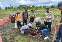 Dinas Pendidikan Nduga Tanam Pohon Dukung Program Jumat Bersih