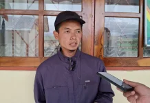 Idul Adha 1447 H di Jayawijaya Digelar di 22 Titik, Hewan Kurban Meningkat