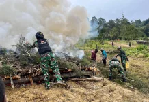 Satgas Yonif 511/DY Hadiri Tradisi Bakar Batu Bersama Masyarakat di Lanny Jaya