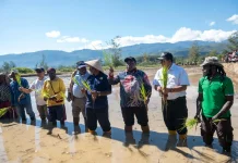 Cetak Sawah Papua Pegunungan Jadi Prioritas Pengembangan Pangan