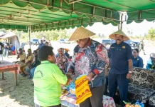 Pemprov Papua Pegunungan Dorong Ketahanan Pangan Melalui Pengembangan Sawah