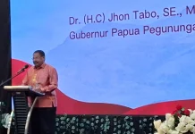Layanan Kesehatan Papua Pegunungan Diperkuat, Kemenkes Gandeng 14 RS Nasional