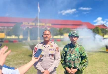 Polres Jayawijaya Musnahkan 5.407 Batang Ganja
