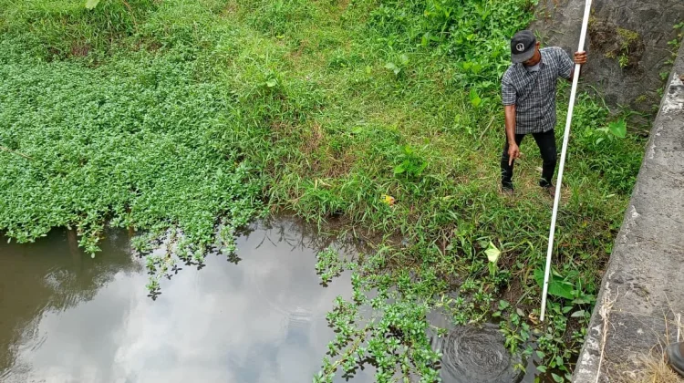 Akademisi Turun Tangan, Dalami Penyebab Munculnya Api Misterius di Seyegan Sleman