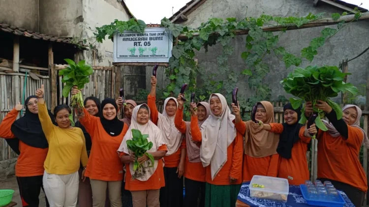 Produktif di Lahan Terbatas, KWT Anugerah Bumi Budidayakan Tanaman Sayur Organik