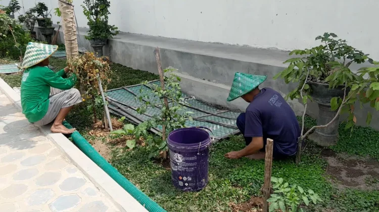 Panen 50 Kilogram Sayur Tiap Hari, Lapas Cebongan Dorong Kemandirian Pangan