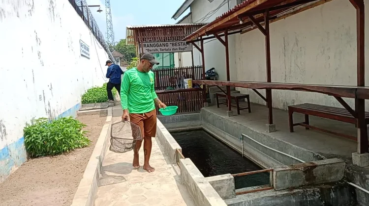 Panen 50 Kilogram Sayur Tiap Hari, Lapas Cebongan Dorong Kemandirian Pangan