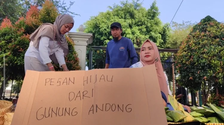 Pesan Hijau dari Gunung Andong