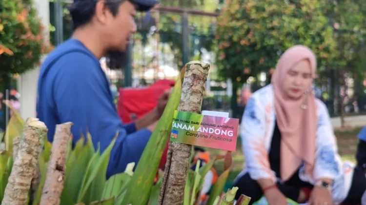 Pesan Hijau dari Gunung Andong