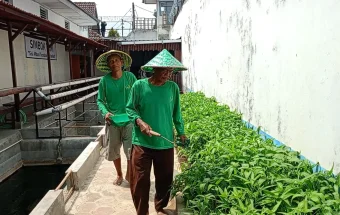 Panen 50 Kilogram Sayur Tiap Hari, Lapas Cebongan Dorong Kemandirian Pangan