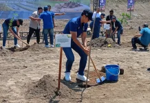 Penanaman Pohon di Tol Prambanan-Purwomartani Jadi Implementasi Gerakan RTHB
