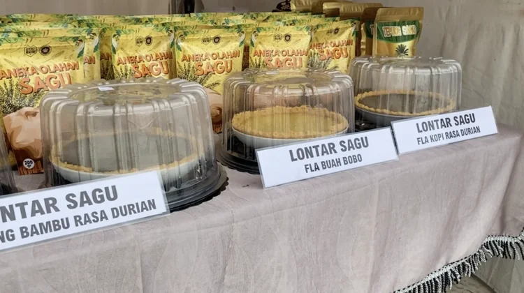 Sagu Papua Melimpah, Produksi dan Perlindungan Masih Tertahan