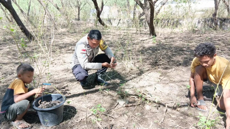 Kolaborasi Bhabin dan Masyarakat Desa Benu Mengubah Biji Pohon Duri Jadi Uang