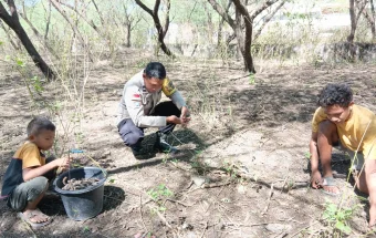 Kolaborasi Bhabin dan Masyarakat Desa Benu Mengubah Biji Pohon Duri Jadi Uang