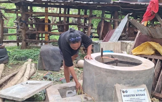 Perjuangan Perempuan Desa Nenas untuk Mendapatkan Energi Baru Terbarukan