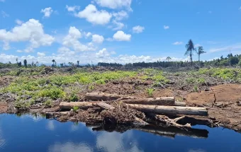 Hilangnya Excavator di Lahan Gambut Rawa Tripa