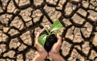 Gelombang Panas dan El Nino Global: Ancaman Iklim Nyata bagi Dunia