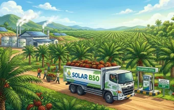 B50 Solar dan Eksistensi Kelapa Sawit