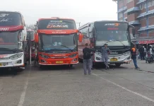 Mudik 2026 dan Meningkatnya Penggunaan Transportasi Umum