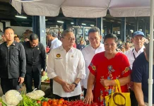 Stabilitas Pangan Nasional Terjaga, Stok Pangan Terjamin Aman