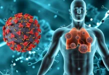 Virus Mematikan dari Tikus 'Hantavirus' Kembali Menggemparkan Dunia