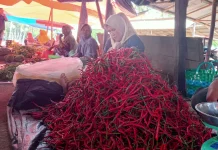 Inflasi Landa Tangerang Raya, Kepala Daerah Atur Strategi