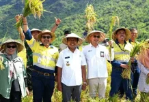 Energi Bersih sebagai Mesin Baru Ekonomi Daerah