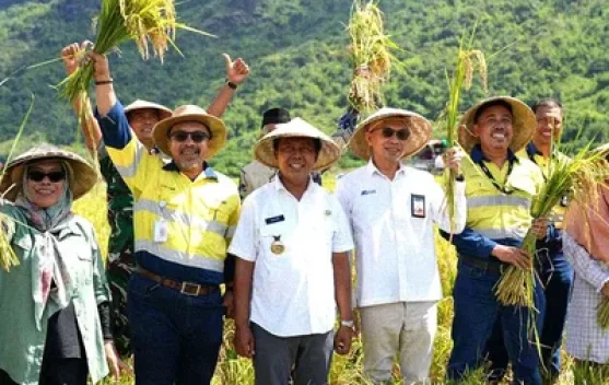 Energi Bersih sebagai Mesin Baru Ekonomi Daerah