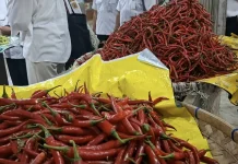 Pasokan Pangan Jateng Surplus, Harga Cabai Jadi Atensi