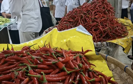 Pasokan Pangan Jateng Surplus, Harga Cabai Jadi Atensi
