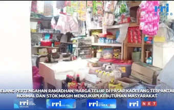 Pembeli Nilai Harga Telur di Alor Masih Terjangkau