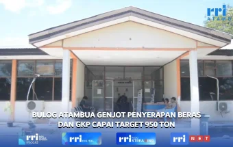 Bulog Kancab Atambua Gencarkan Serap GKP dan Beras Petani, Jaga Ketahanan Pangan