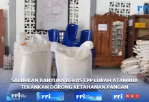 Salurkan Bantuan Beras CPP Lurah Atambua Tekankan Dorong Ketahanan Pangan