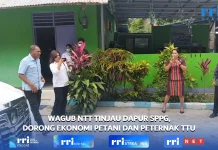 Wagub NTT Ditemani Wabup TTU Tinjau Dapur SPPG di Kefamenanu Selatan