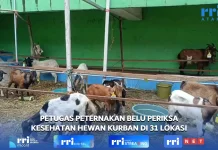 Sebanyak 65 Orang Petugas Diterjunkan Memeriksa Kesehatan Hewan Kurban