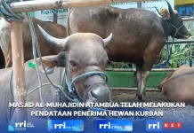 Idul Adha,Panitia Masjid Al-Mujahidin Atambua Mulai Mengumpulkan Hewan Kurban