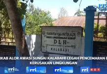 Pemkab Alor Awasi Sungai Kalabahi Cegah Pencemaran dan kerusakan Lingkungan