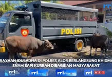 Polres Alor Salurkan Daging Kurban bagi Ratusan Masyarakat pada Iduladha 1447 H