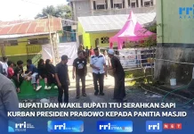 Hewan Kurban Presiden Prabowo Diserahkan Bupati TTU ke Masjid Nurul Falah Kefamen