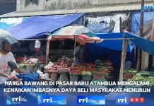 Harga Bawang Tembus Rp.40.000 Per Kilo Gram Daya Beli Masyarakat di Belu Menurun