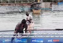 Nelayan Diimbau Cermati Kondisi Cuaca saat Melaut Mencari Ikan
