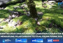 Pemdes dan Kecamatan Lamaknen Dukung Festival Fulan Fehan 2026