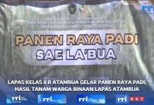 Lapas Kelas IIB Atambua Gelar Panen Raya Padi, Hasil Tanam Warga Binaan