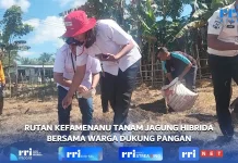 Lapas Kelas IIB Kefamenanu Dukung Ketahanan Pangan Tanam Jagung 1 Hektar dan Berda
