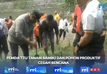 Pemkab TTU Tanam Ribuan Pohon Bambu di Bantaran Kali Tauf Antisipasi Banjir