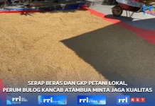 Perum Bulog Kancab Atambua Optimalkan Penyerapan Beras dan GKP Petani Lokal