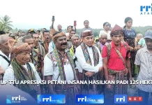 Wakil Bupati TTU Apresiasi Gapoktan It Naen Bitauni karena Hasilkan Padi 125 Hekta