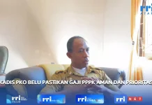 Kadis PKO Belu Pastikan Gaji Guru P3K di Belu Aman