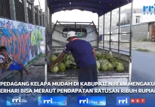 Pedagang Kelapa Muda di Belu Raup Ratusan Ribu Rupiah Harian